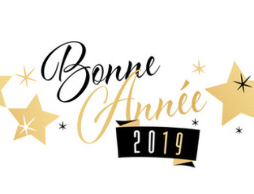 Bonne année 2019 !