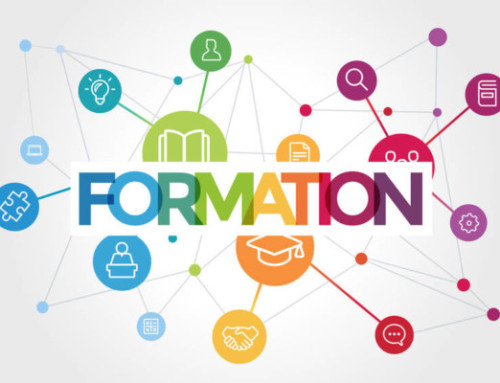 Formations handicap MEV 2021